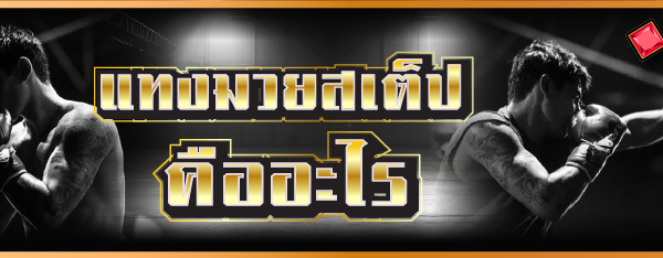 แทงมวยสเต็ป คืออะไร