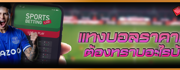 แทงบอลราคาพลู ต้องทราบอะไรบ้าง