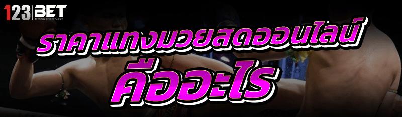 ราคาแทงมวยสดออนไลน์